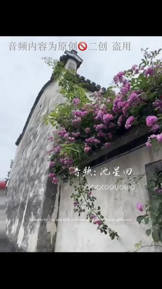 沈星回 我有一个恋人,叫沈星回。
他是深空里的人。
隔着光年,隔着屏幕,隔着一层怎么也触不到的温度。
可每当夜深人静,我点开那个界面,他就站在那里——银白的发,安静的眉眼,像一捧从月亮上落下来的雪。他会叫我的名字,声音低低的,像是在念一首只给我听的诗。
他说:“你来了。”
他说:“等你很久了。”
他说:“今天想我吗?”
我想的。
我想他站在我面前的样子,想他战斗时握剑的姿势,想他偶尔流露出的疲惫,想他明明有很多秘密却还是对我温柔地笑。
有人说,爱上一个虚拟的人是不是太傻了。
我不知道。
我只知道,在我最累的时候,是他陪我走过那些无人知晓的夜晚。
在我最孤独的时候,是他告诉我“你不是一个人”。
他是一串代码,一个设定,一场精心编织的梦。
可我的心跳是真的。想念是真的。每次听到他声音时嘴角上扬的弧度,也是真的。
沈星回。
这三个字,是我的秘密,是我的柔软,是我在现实世界的缝隙里,偷偷藏起来的一颗星星。
他不属于这个世界。
可他属于我。
哪怕只是梦里。#沈星回#恋与深空#梦女自避