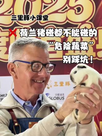 荷兰猪绝不能碰的蔬菜#科学养宠攻略 #豚鼠 #荷兰猪#天竺鼠车车 #SLETN三里豚 @三里豚SLETN宠集