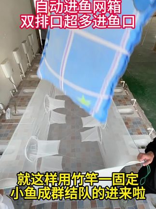安装方便,抓鱼迅速#自动进鱼网箱