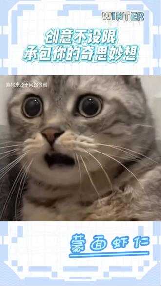 创意不设限,承包你的奇思妙想 #阿里千问 #阿里最强最新qwen#千问AI红包雨