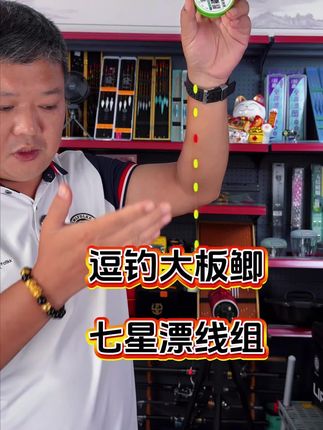 小凤仙七星漂 专钓大板鲫的七星漂线组,免调漂,可以逗钓。#七星漂线组 #逗钓鲫鱼 #七星漂钓鲫鱼 #渔具用品