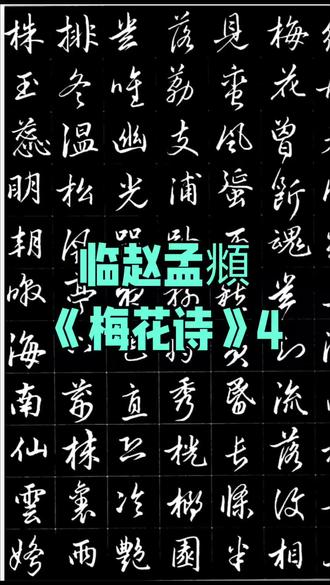 临赵孟頫《梅花诗》4#硬笔行书#赵孟頫行书