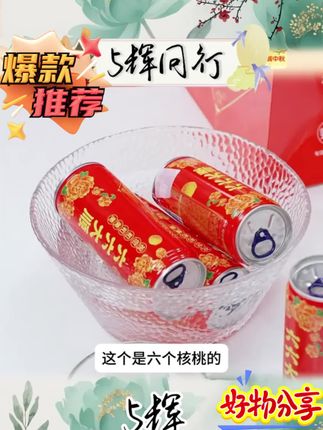 【六个核桃】六六大顺罐240ml×16罐