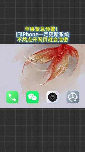 苹果紧急预警!旧iPhone一定更新系统,不然点开网页会泄密 #苹果 #苹果手机 #iOS更新 #iPhone #上热门