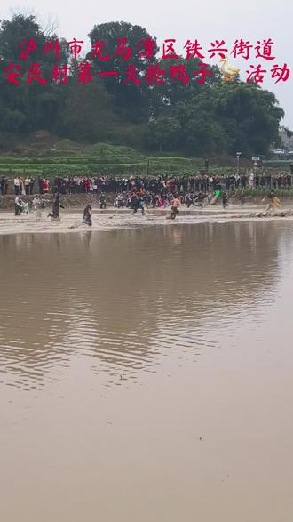 第一天男嘉宾抓鸭子🦆活动,个个生龙活虎,把抓鸭子现场当作战场