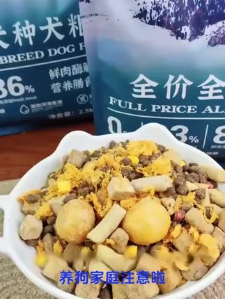 佰滋利鲜肉冻干粮,究竟藏着啥养宠秘诀? #佰滋利狗粮 #鲜肉营养 #冻干粮 #全犬通用 #泰迪博美