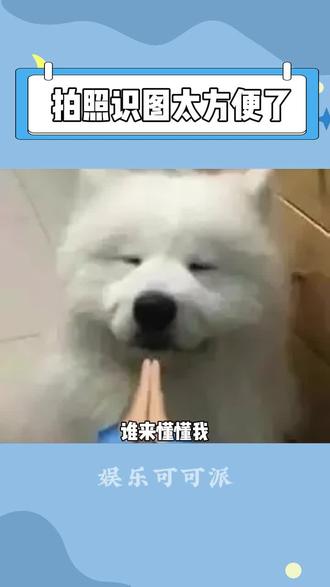 不懂的拍一下秒答!#豆包#豆包app#拍照识图