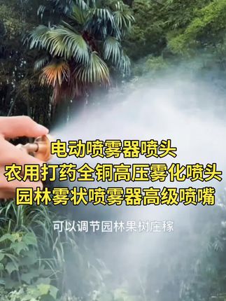 #三农种植 #打药高压喷头 喷雾器喷头农药农用高压细腻雾化#热门🔥 #纯铜喷头