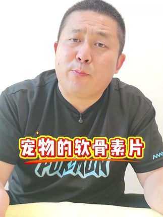 推荐一款宠物软骨素片#宠物软骨素片推荐#宠物软骨素推荐