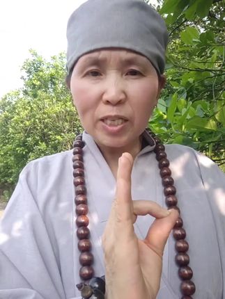 #虎 #属虎 #生肖虎
