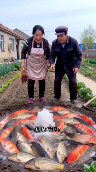 #AI菜园刨地遇鱼涌 #随变ai随便玩