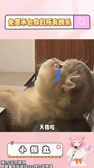 免费承包你的所有娱乐#悟空浏览器