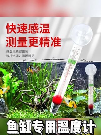 鱼缸温度计快速检测精准误差小水温计玻璃数字漂浮式加吸盘测温#鱼缸专用温度计 #温度计 #养鱼日记 #新手养鱼 #养鱼人