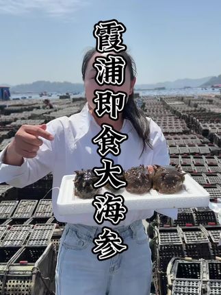 你们有吃过这么大的海参吗#即食海参 #霞浦 #海鲜美食