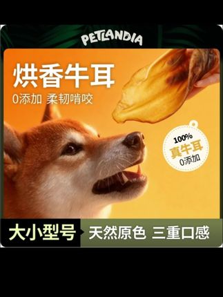 一整个牛耳朵比我家狗耳朵还大,小狗可喜欢了#科学养宠攻略 #牛耳朵 #宠物零食 #狗零食 #萌宠好物