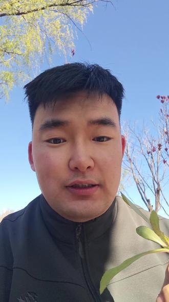 凡人新年番定档6.13。官方@凡人修仙传动画 是真的被二创逼急了~#凡人修仙传 #韩立 #真实生活分享计划 #凡人定档