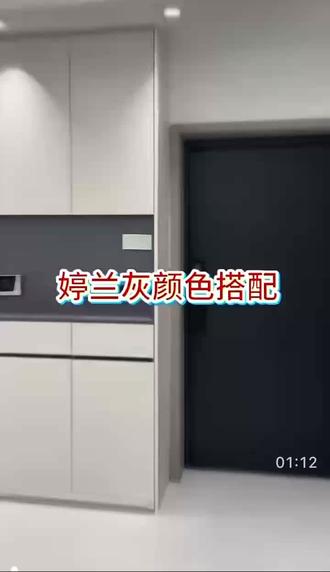 婷兰灰的网红颜色搭配#全屋高端定制柜 #全屋定制柜门颜色 #柜门无把手设计