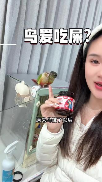 如果你发现鸟子刚接回来会吃自己拉的屎,先别慌,及时给它补充微量元素#鹦鹉#养鸟知识 #小太阳鹦鹉