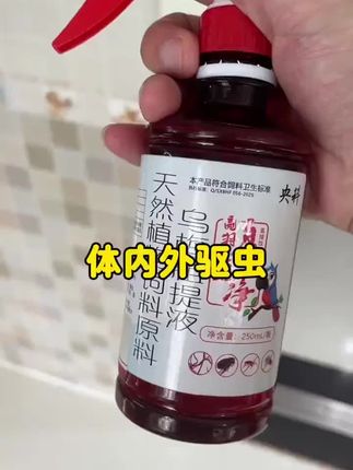 #养鸟经验分享 #手养鸟 兄弟们快看看什么是羽虱