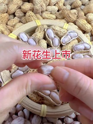 超多好物,快来直播间看看,忠信新鲜花生上市味道特别的香浓#强烈推荐 #优质农产品 #抖音助农扶农 #美食分享 #水煮花生