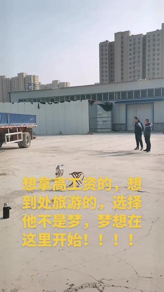 想快速拿证的可以联系我我18315916762