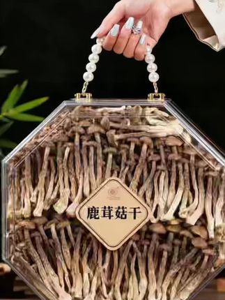 谁懂啊!鹿茸菇炒肉直接炫光三碗饭 干鹿茸菇提前用温水泡20分钟,泡软后剪去硬根、挤干水分,再冲洗两遍去泥沙,口感会更脆嫩。 热锅放少许油,下姜片、蒜末炸出香味,倒入腌制好的肉片(提前用生抽、淀粉抓匀),大火炒到肉片变色,加一勺生抽、半勺蚝油增鲜。 接着倒入鹿茸菇,继续大火翻炒3分钟,让菇子吸满肉汁,最后加少许盐和白糖调味,撒把葱花就能出锅。脆嫩的鹿茸菇裹着肉香,拌米饭吃真的绝了! #鹿茸菇干货 #鹿茸菇怎么炒好吃 #舌尖上的味道 #强烈推荐