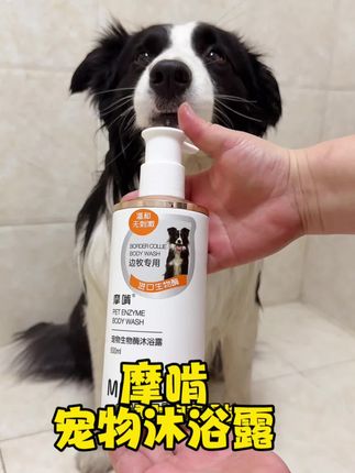 狗狗不能经常洗澡,身上总是臭哄哄的,一定要试试摩啃的生物酶除臭留香沐浴露!#萌宠好物 #宠物用品 #除臭 #宠物沐浴露 #狗狗洗澡