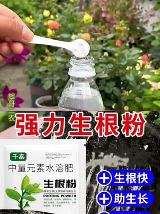 【加强版】快速生根粉植物园艺通用壮根改土花肥月水培喷施叶面肥料#生根粉#植物园艺#水培植物