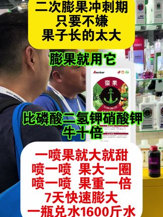 二次膨果冲刺期就用它 #膨果 #膨果增甜 #膨果肥 #膨果增甜防裂果 #蛮果