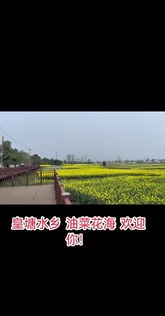 汉中最大的油菜花海——皇塘水乡,美不胜收!
