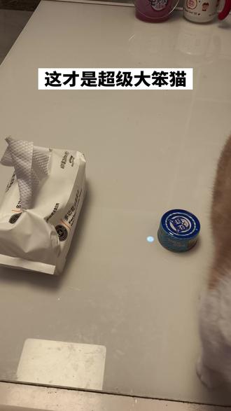 超级无敌大开门那个小猫真的很聪明了,大笨猫是这样的根本不会听讲话,眼里只有猫条#纸巾胡萝卜猫 #萌宠视频 #小猫咪小猫咪小猫咪 #猫咪🐈
