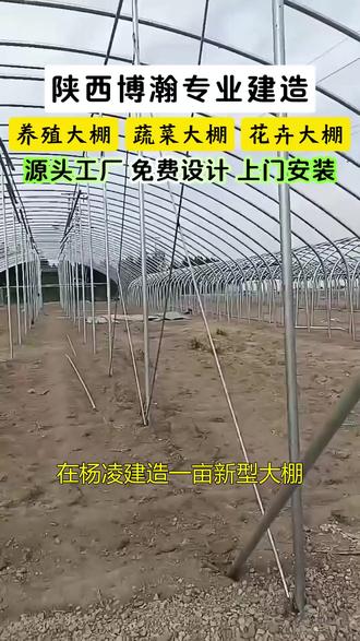 在杨凌建造一亩新型大棚费用是多少 在杨凌建造一亩新型大棚,费用是多少?陕西博瀚农业,我们建的温室大棚,透光率比普通棚高20%,作物长得快、品相好,棚内温度能智能调节,不管外面多冷多热,里面始终适宜。#新型大棚 #杨凌新型大棚 #新型大棚费用是多少 #陕西博瀚农业 #专业建棚