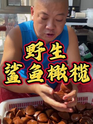 巴布亚野生鲨鱼橄榄#文玩爱好者 #文玩核桃 #文玩手串 #橄榄核