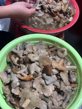 每一朵都是挑选发货