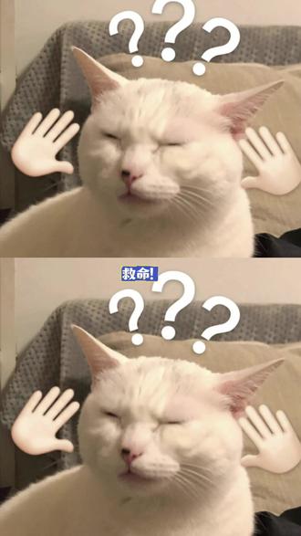小火人也太毒舌了 #多闪app #小火人AI聊天 #多闪