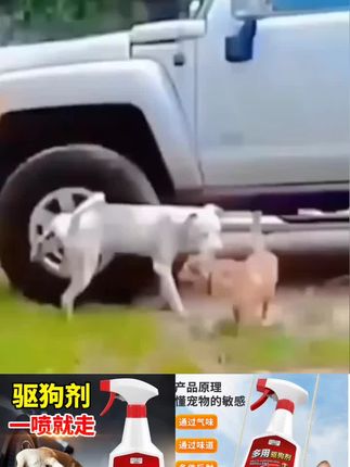 你的爱车停在外边,是不是经常遇见小猫咪小狗狗在轮胎上面撒尿,很让人头疼?今天给大家推荐这款防止小猫小狗在轮胎上面撒尿,喷雾往轮胎上一喷,梳边一喷,小猫小狗啊,再也不敢过去了,它不仅可以用在车轮上。家里边养的有宠物猫猫狗狗的,你不想让他去某个区域,只要用它喷一喷,他们再也不会往那个区域去了,有需要的家人们赶紧入手吧。