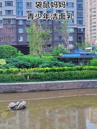 要不是收到我还真不敢信?这个价就到手三支#袋鼠妈妈青少年洁面乳,#袋鼠妈妈专为青少年研发,植萃舒缓,控油光,净毛孔,用它孩子小脸不油乎乎的啦~#爱了爱了#好用不贵#洗面奶
