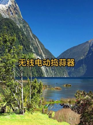 可爱无线电动捣蒜器家用小型大蒜绞碎器打蒜蓉蒜泥辅食自动绞肉机