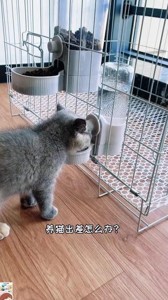 宠物自动喂粮水器,挂式设计,猫狗兔通用超方便!
#多宠适用神器 #宠物必备好物 #宠物饮食必备 #挂式饮水器 #自动喂粮好物