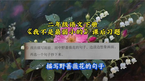 第 34 集|二年级语文下册|《我不是最弱小的》|课后练习讲解 #真实生活分享计划 #二年级语文下册 #家长收藏孩子受益 #每天学习一点点 #考试周