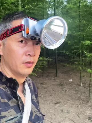 抓知了过程确实很解压,欢迎来体验…#上热门🔥 #三农流量扶持计划 #农村生活