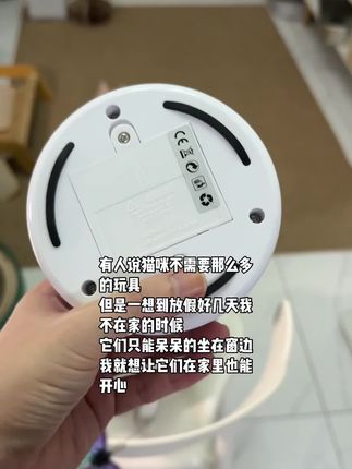 放长假虽然很开心,但是我同时希望猫咪们在家里也能开心#猫咪 #猫玩具 #新手养猫
