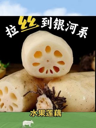 【顺丰包邮】现挖当天新莲藕水果藕嫩藕带泥莲藕#莲藕#水果莲藕