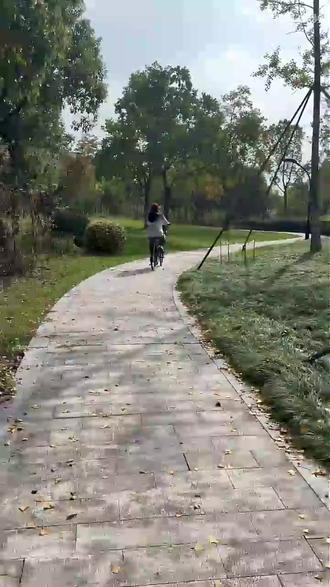 京东京造F8折叠自行车效果究竟怎么样,最新评测曝光