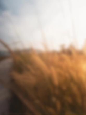 我向湿婆许愿 我会在永恒的轮回中不断与你相见#shiva #商谨 #沈叙 #be
yp:@南京锁