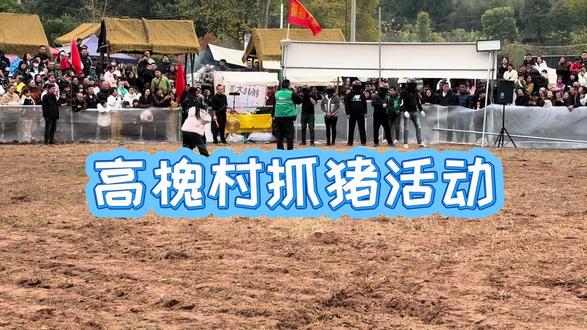 高槐村抓猪!秘诀就是,第二三场再去,猪已经跑不动了,看准一根,包抓住!视频最后一家人来进货,收获满满!#抓猪挑战 #高槐村
#抓猪大战