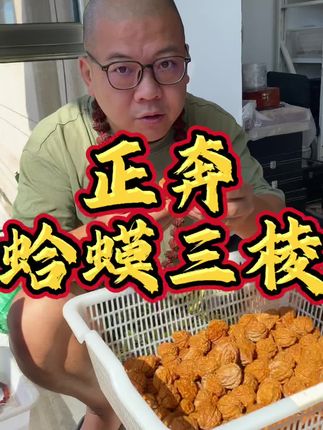 云铁名款 蛤蟆三棱 款式可选#文玩爱好者 #盘核桃 #蛤蟆头 #文玩核桃 #铁核桃
