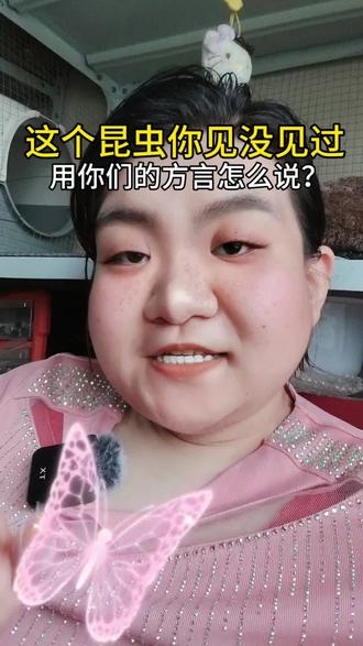 全国蜻蜓叫法大比拼! 原来蜻蜓在各地叫法差这么多!你们那儿管蜻蜓叫啥?评论区说一下~#热门话题 #方言 #蜻蜓 #东北方言 #各地方言差异@抖音小助手 @抖音创作灵感