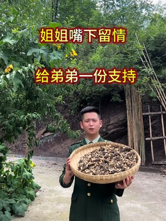 羊肚菌大山里的山珍,曾经服务人民,现在回乡创业做羊肚菌,炖汤煲汤,鲜味十足,拒绝科技狠货,相信诚信经营,会赢得大家的认可#优质农产品