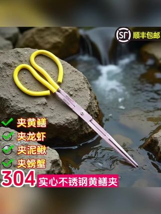 喜欢吃黄鳝的千万不要错过这个好东西,有了它,你也能天天吃上新鲜的黄鳝。就是这个不锈钢黄鳝夹子,它是双层防滑的设计,夹实牢固,只要看准了就别想跑掉。而且它耐腐蚀、不易生锈,可以放心使用。平时喜欢摸鱼抓虾的老铁们一定要备上一个,太实用了!